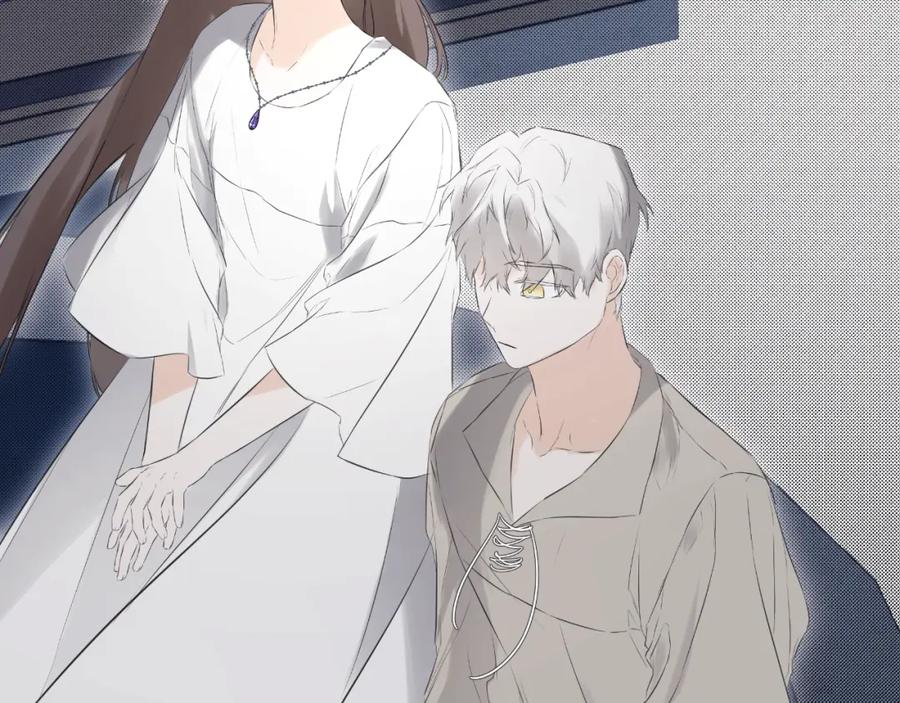 第223页