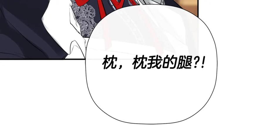 第204页