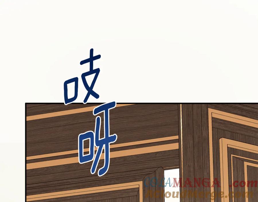 第217页