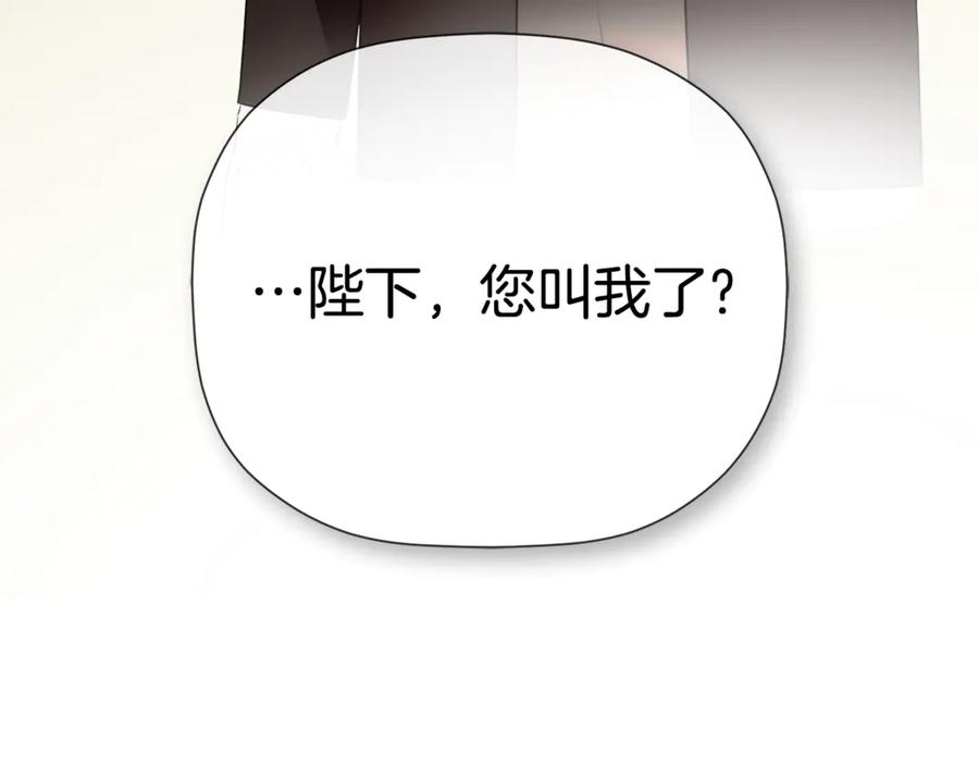 第223页
