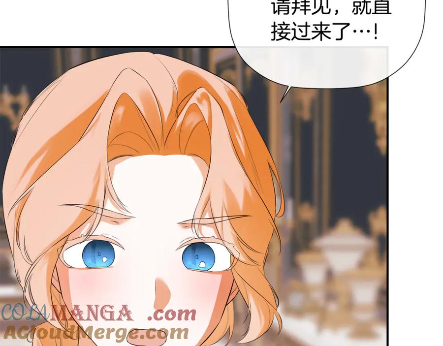 第217页