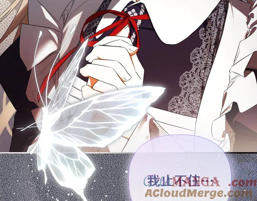 第205页