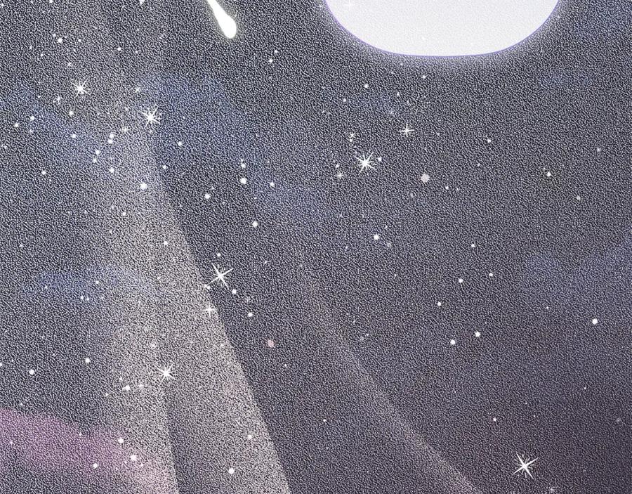 第206页