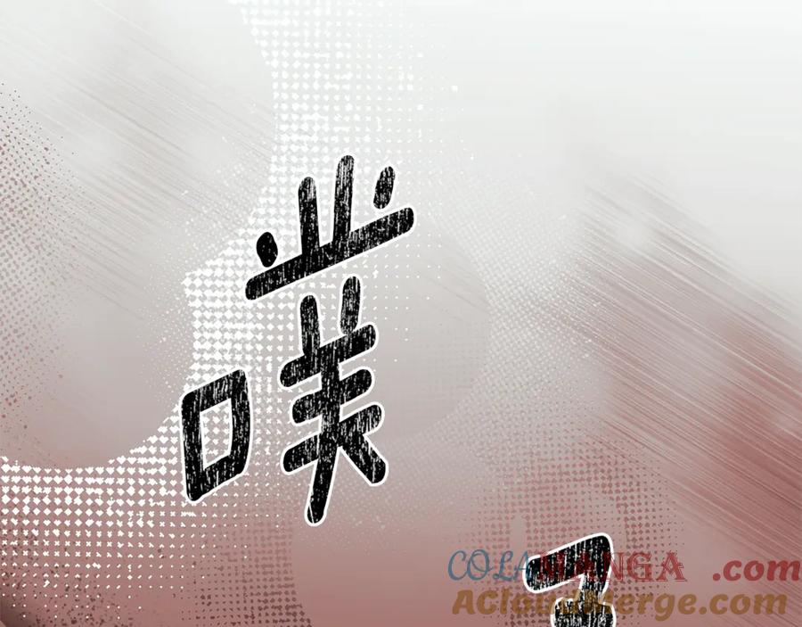 第205页