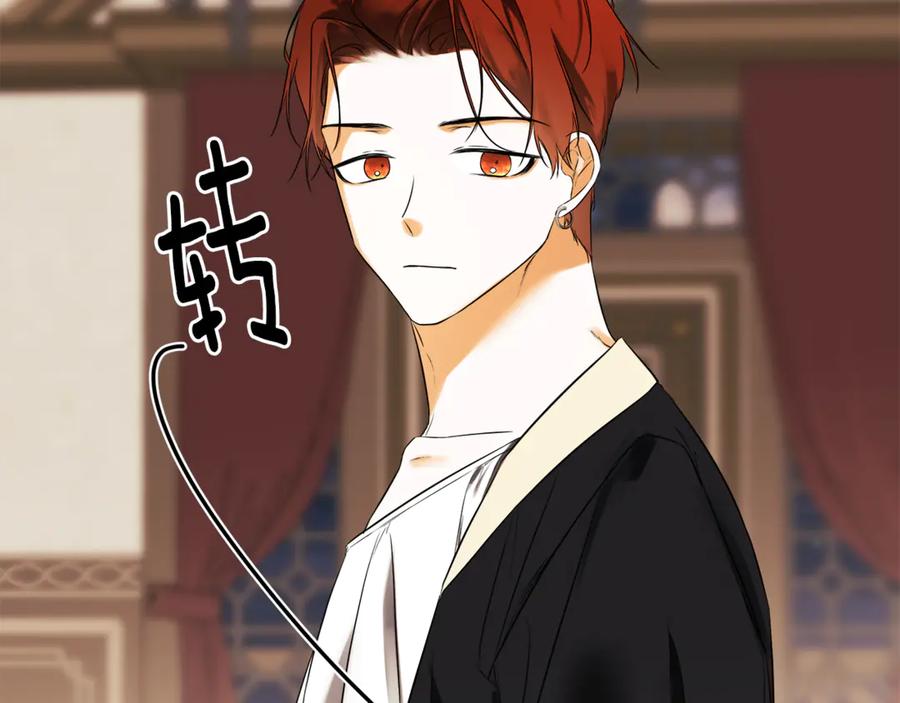 第223页