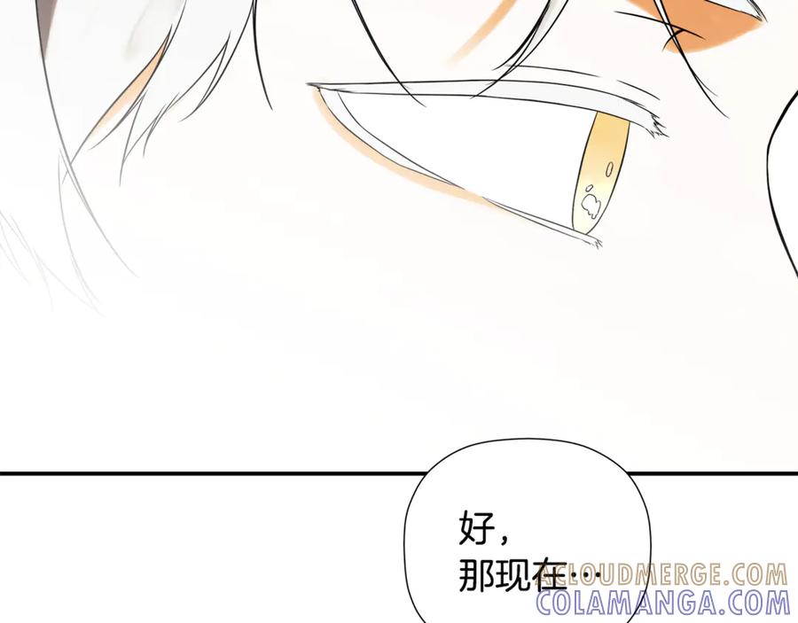 第245页