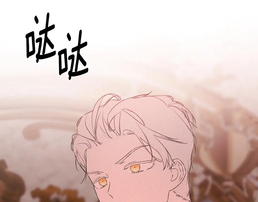 第204页