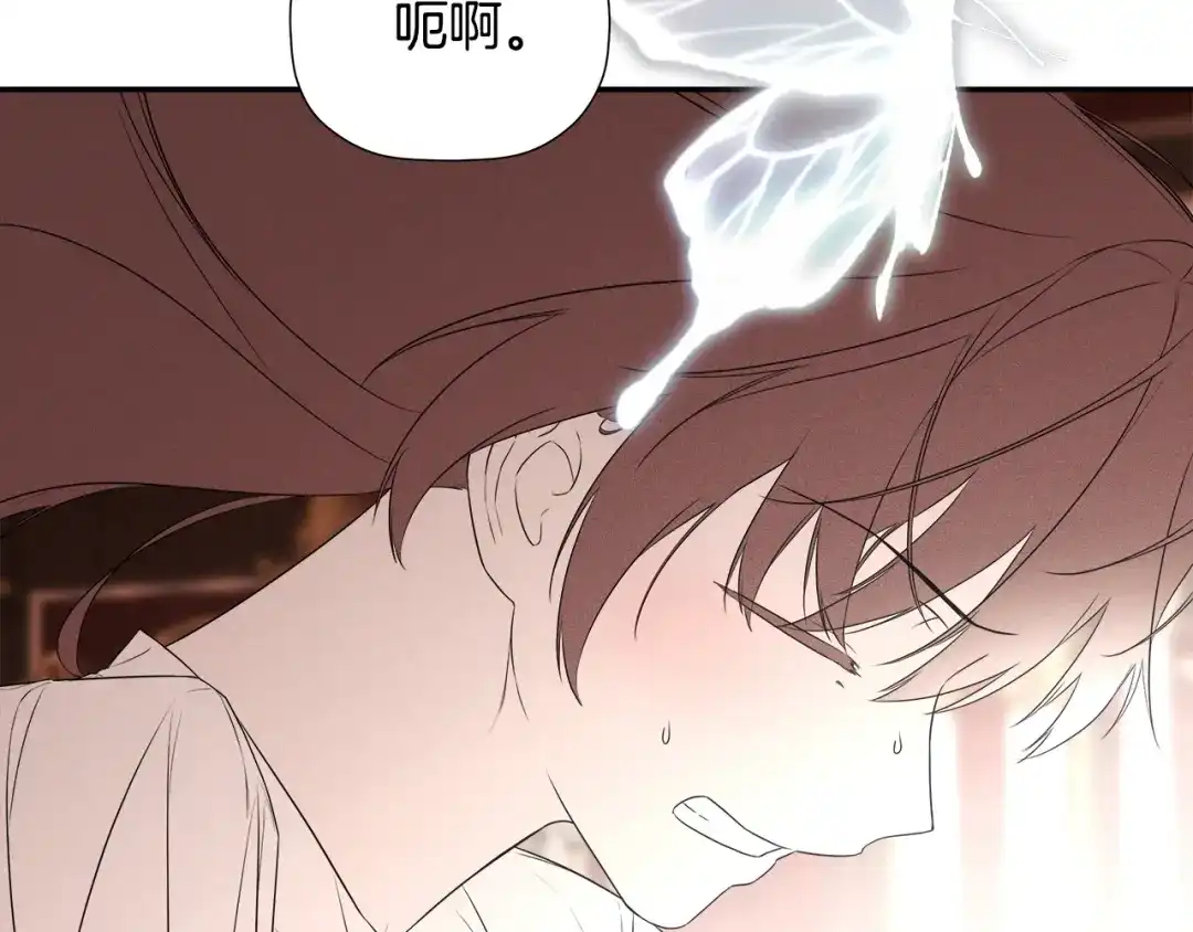 第211页