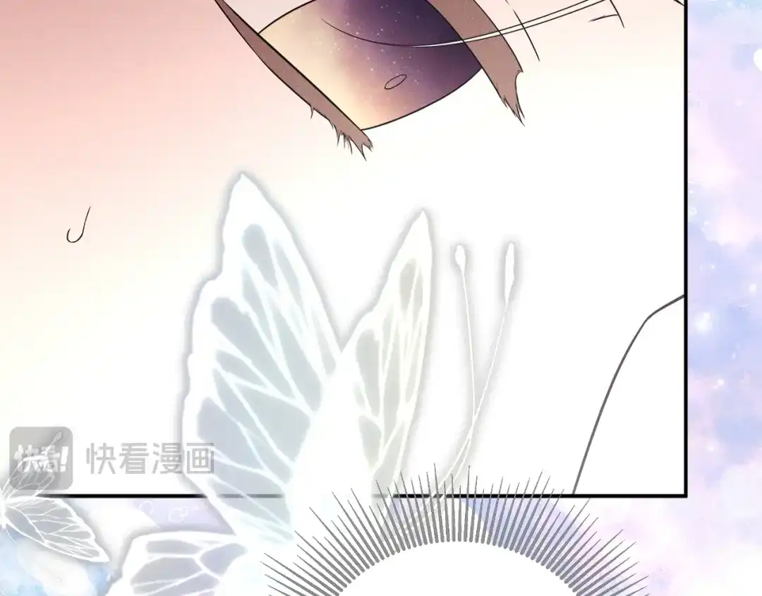 第215页