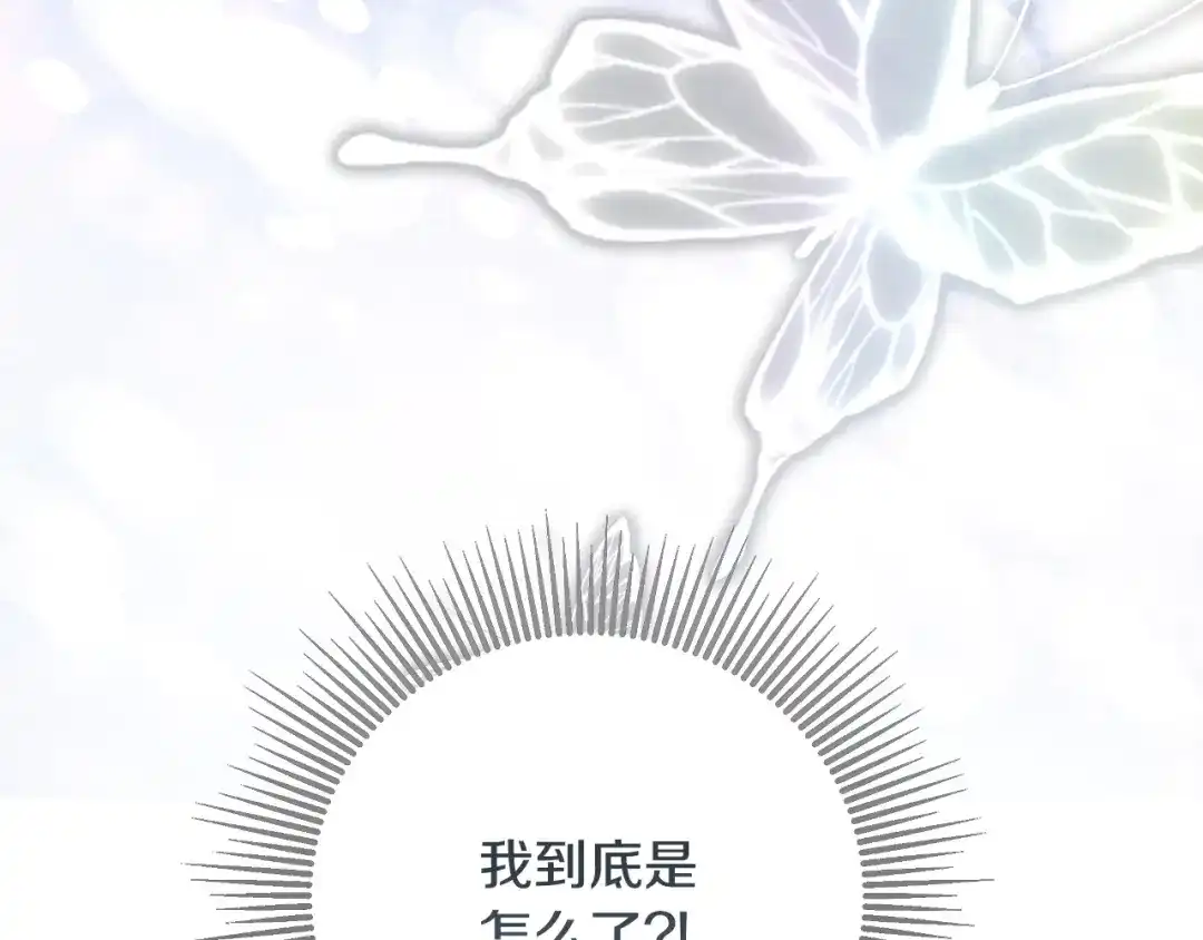 第217页