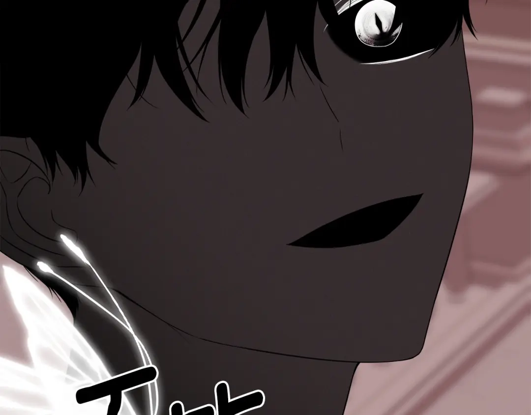 第221页