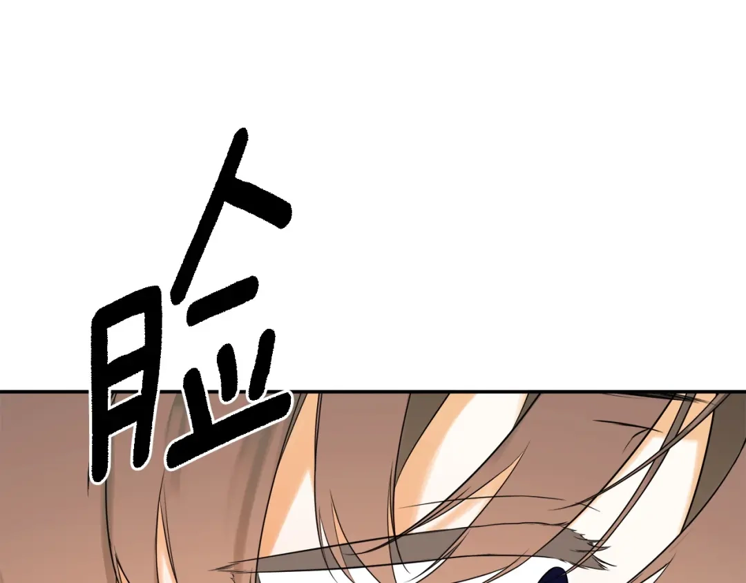 第212页