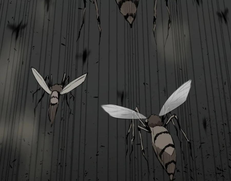 第204页