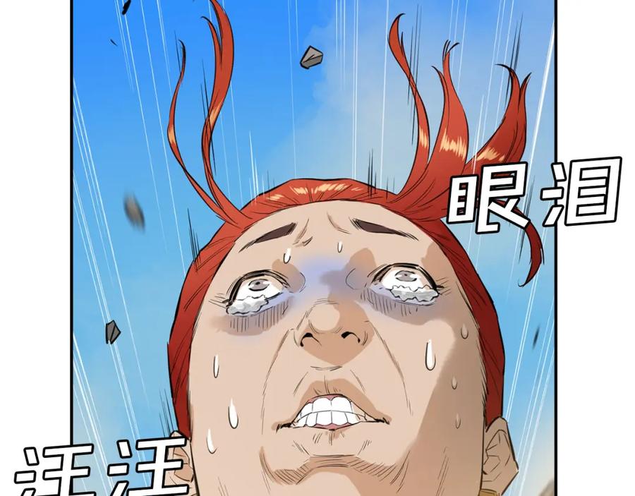 第204页