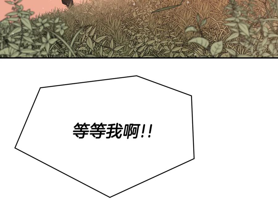 第214页
