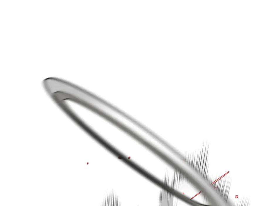 第215页