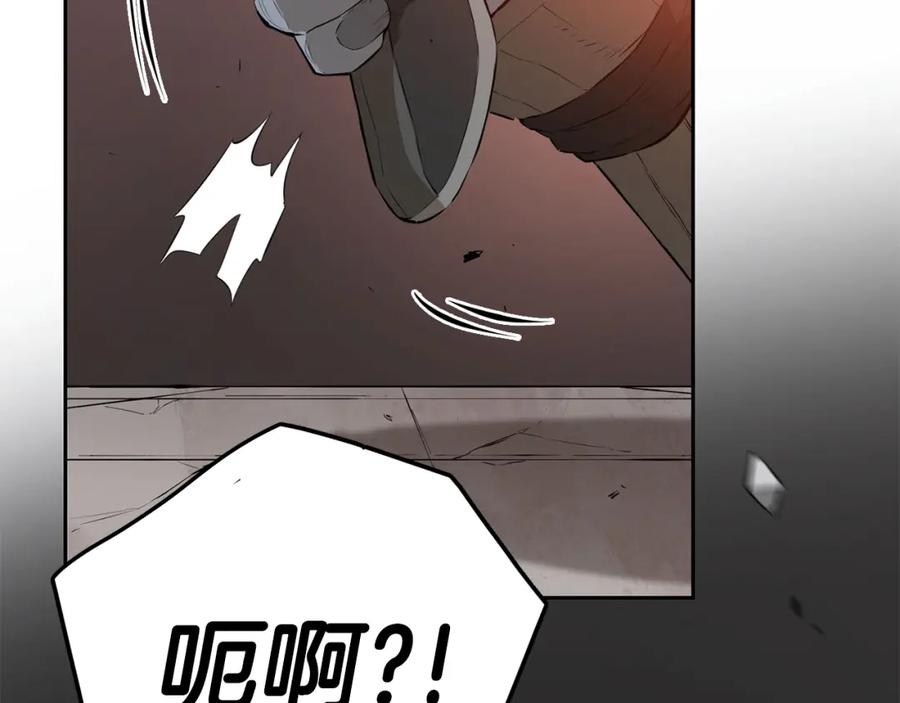 第223页