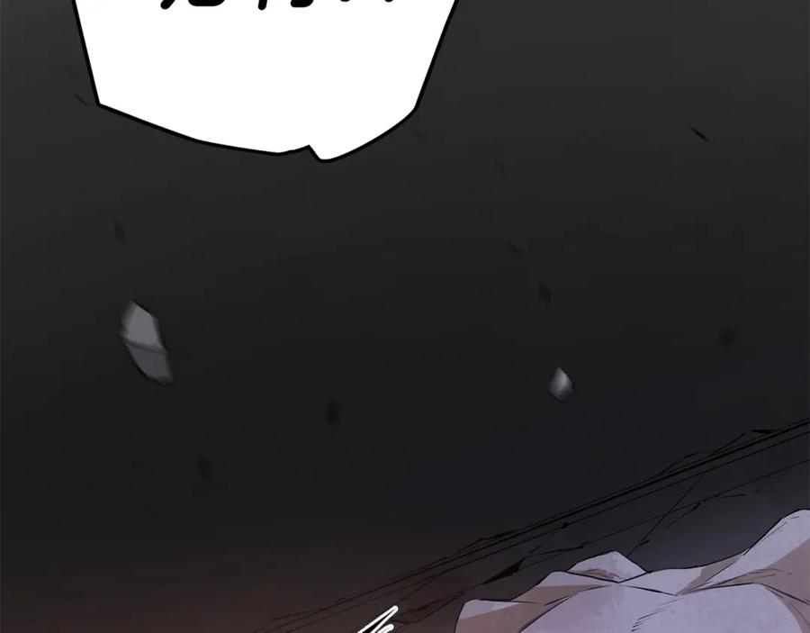 第224页