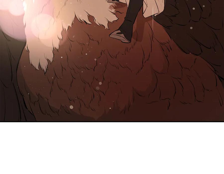 第228页