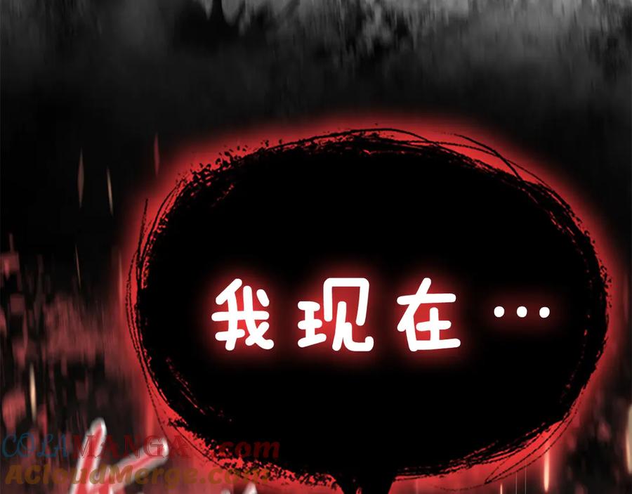 第205页