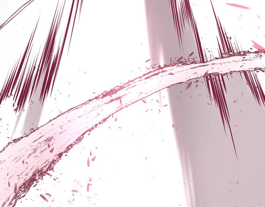 第224页