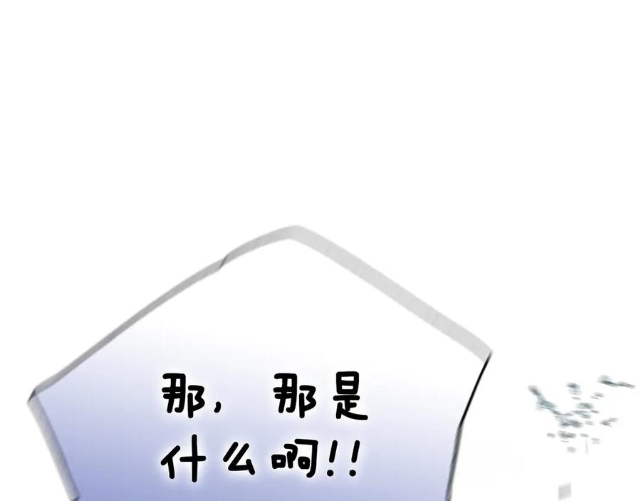 第236页