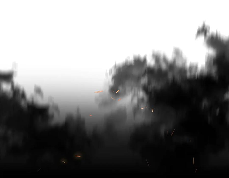 第215页