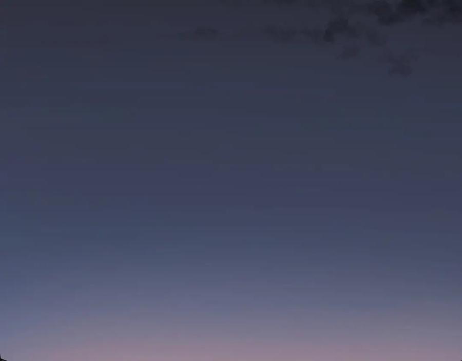 第202页
