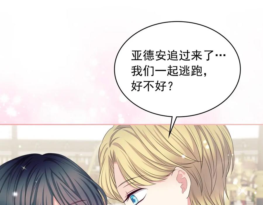 第223页