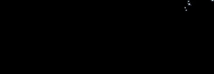 第537页