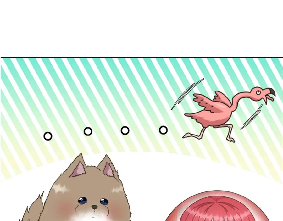 第178页