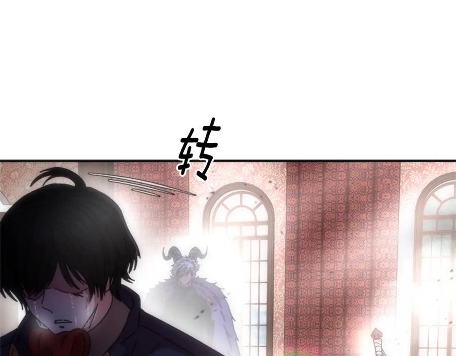 第204页