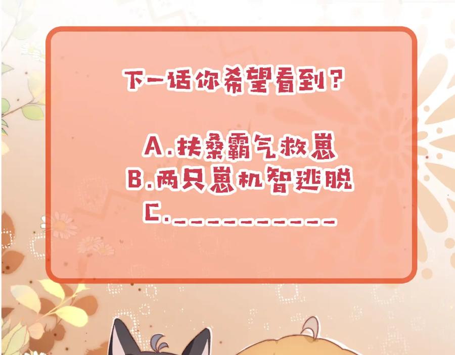 第244页