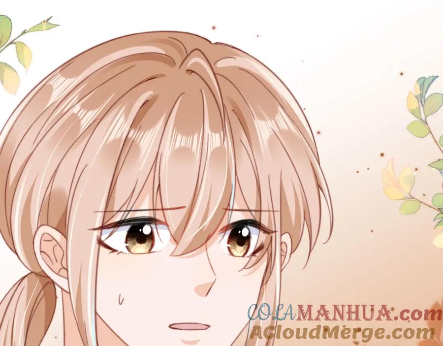 第339页