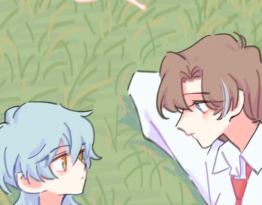 第146页