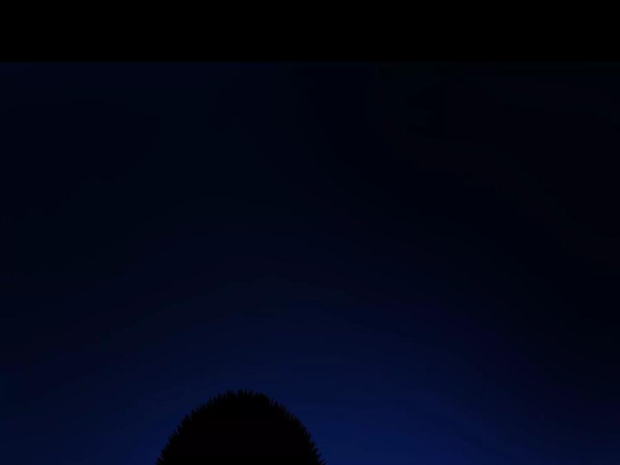 第355页