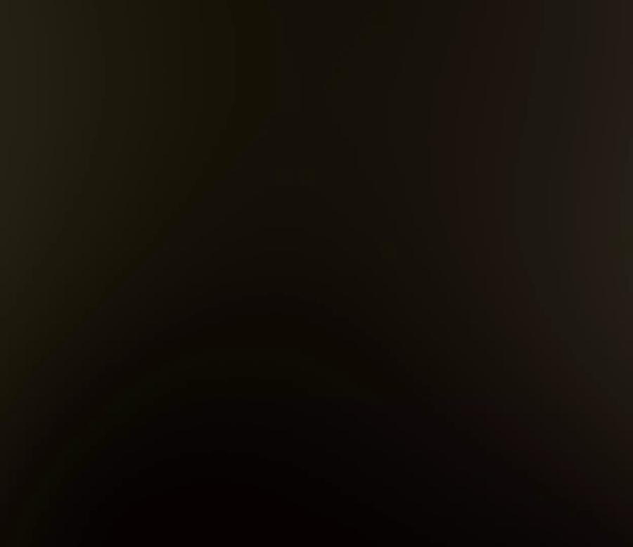 第215页