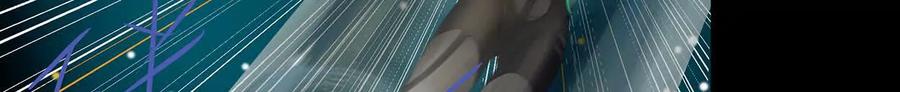 第223页