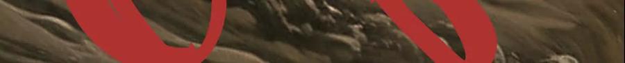 第236页