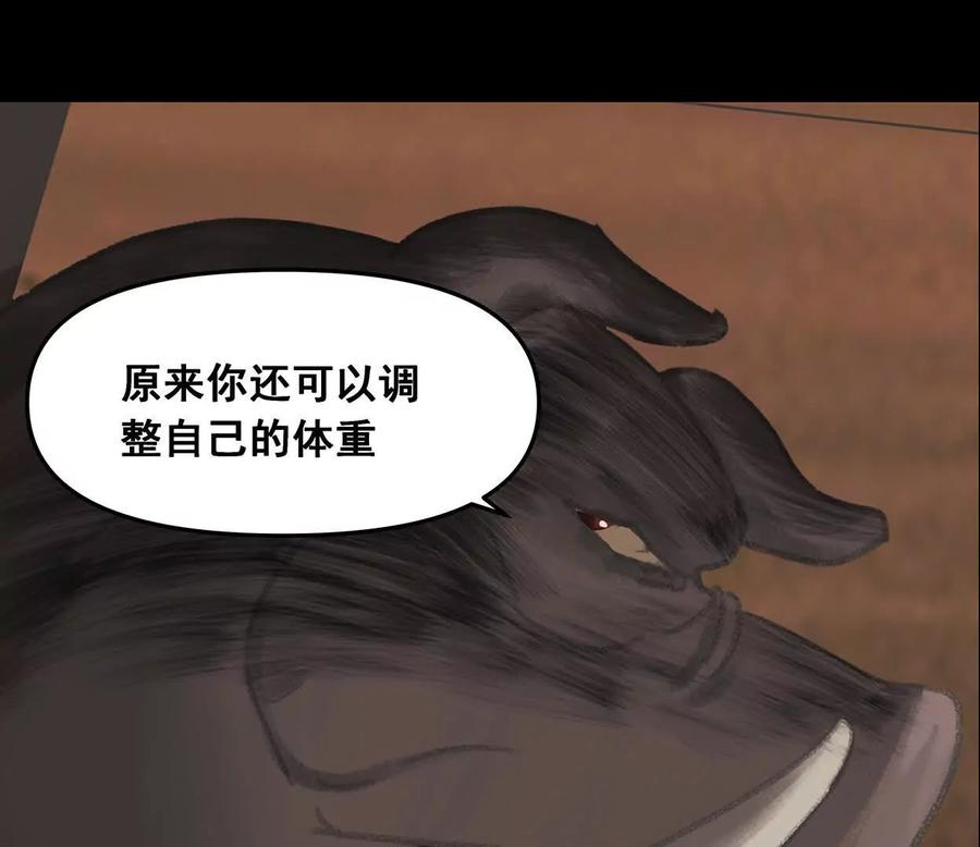 第255页