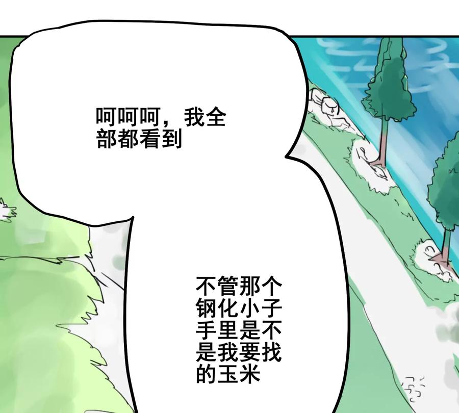 第244页