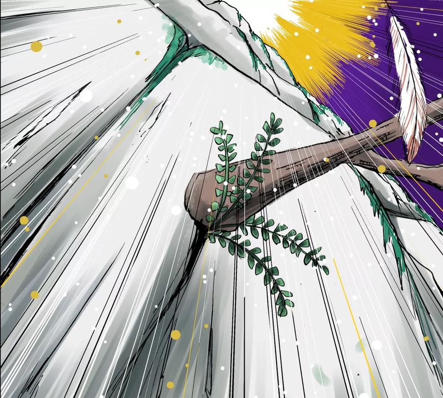 第256页