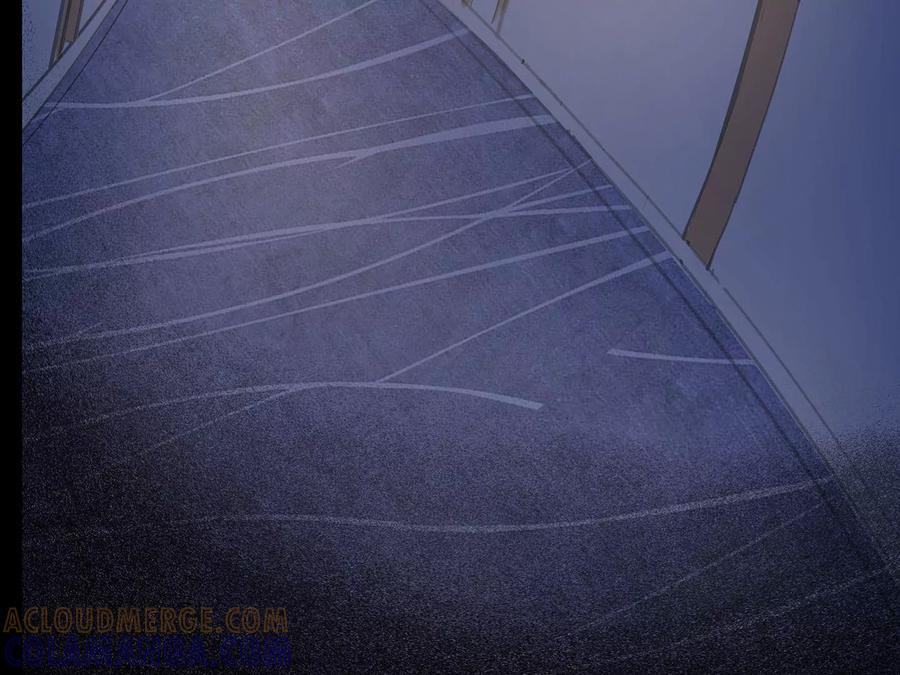 第229页