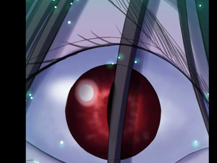 第240页
