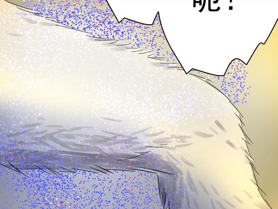 第251页