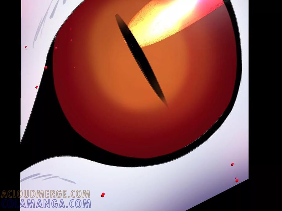 第265页
