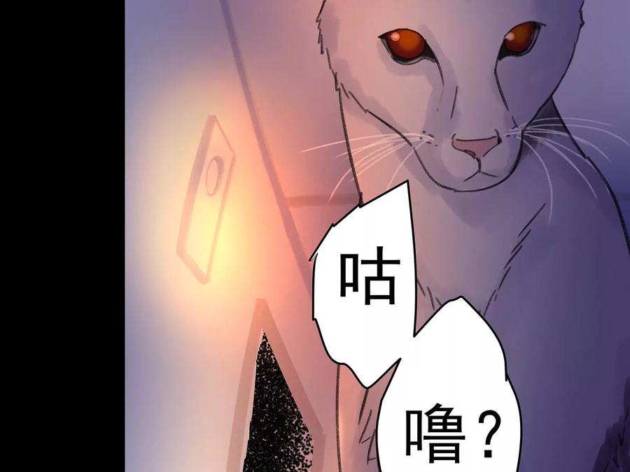 第276页