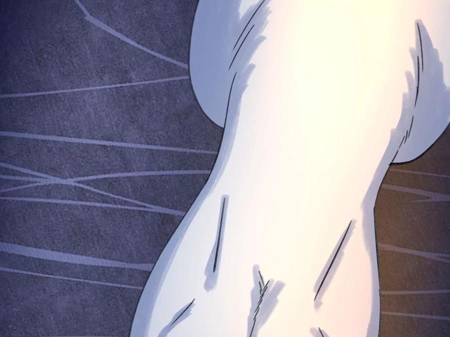 第282页