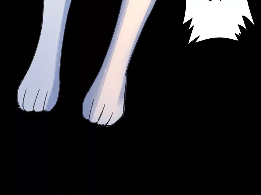 第284页