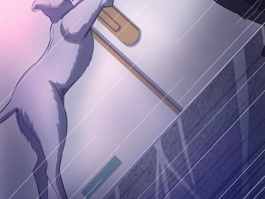 第296页